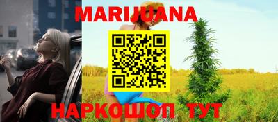 крисы Тулун