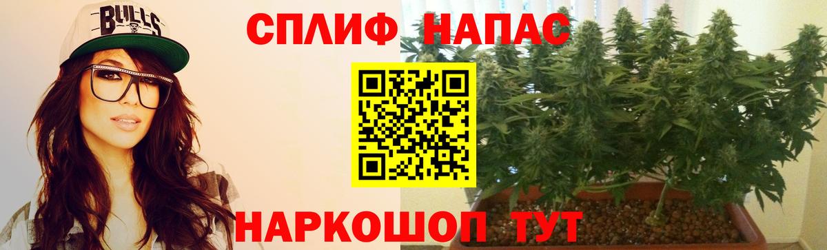 Шишки марихуана планчик  Вход с VPN  Марихуана конопля  Новочебоксарск  Конопля сатива 